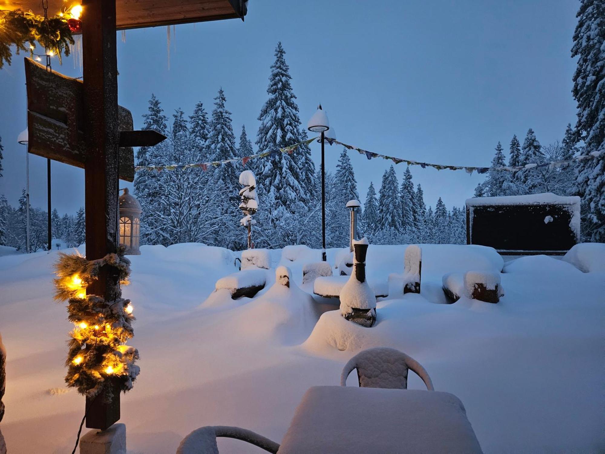 Hotel Restaurant Du Marchairuz 르브라시아 외부 사진